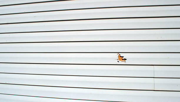 Affordable siding repair and maintenance services in Richlands, NC